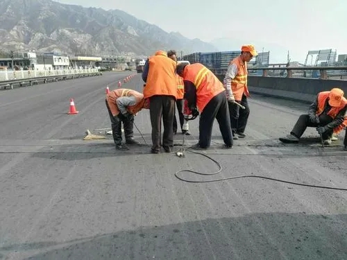 东山道路桥梁病害治理